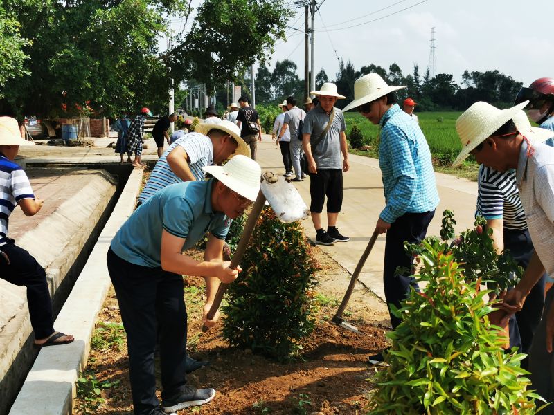 熱火朝天的植樹勞動現場 熱火朝天的植樹勞動現場