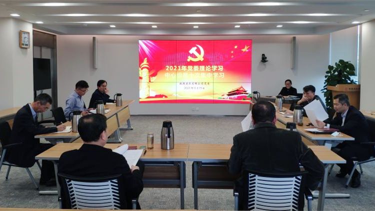 誠通建投黨委深入學習貫徹黨的十九屆六中全會精神