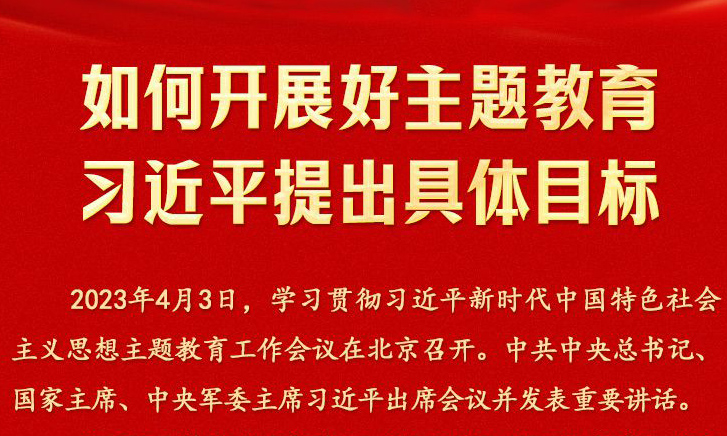 如何開展好主題教育 習近平提出具體目標